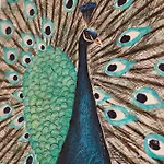 ヴィラ Carrubo Peroscia By Sthey Padresergio