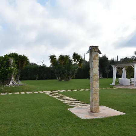 Carrubo Peroscia By Sthey