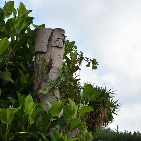 Carrubo Peroscia By Sthey فيلة *