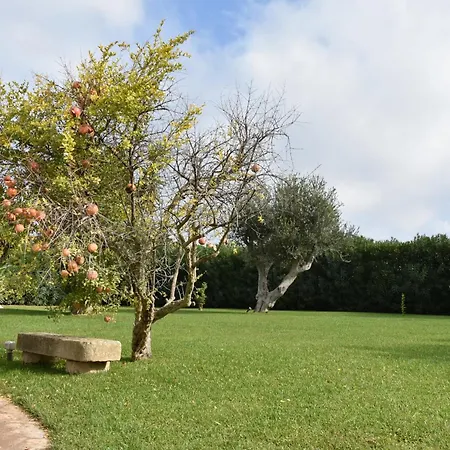 فيلة Carrubo Peroscia By Sthey *