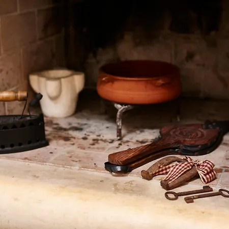 Carrubo Peroscia By Sthey *