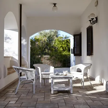 Carrubo Peroscia By Sthey