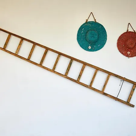 Carrubo Peroscia By Sthey * Padresergio