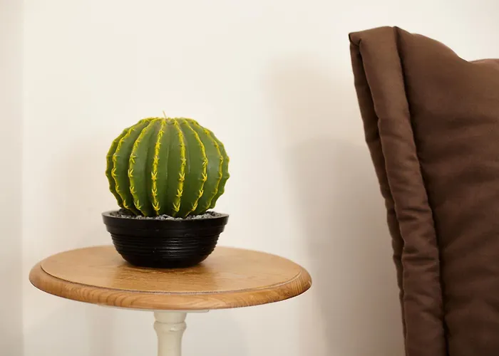 Carrubo Peroscia By Sthey Padresergio