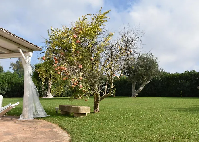 Carrubo Peroscia By Sthey Padresergio