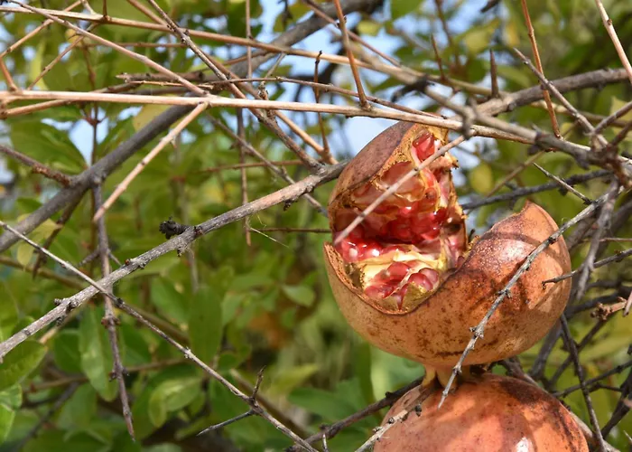 Villa Carrubo Peroscia By Sthey Padresergio